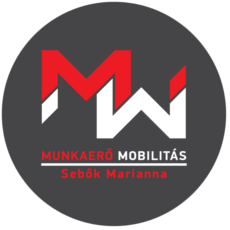 Labor market mobility - Marianna Sebők